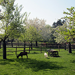 Stacks Image 14