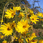 Stacks Image 17