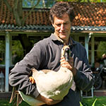 ADilthey_4Linden_Kachel3_41