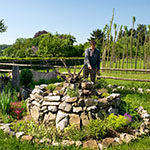 ADilthey_4Linden_Kachel5_11