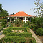 ADilthey_4Linden_Kachel5_12