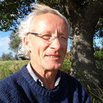 ADilthey_4Linden_Kachel4_3