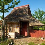 ADilthey_4Linden_Kachel2_21