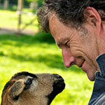 ADilthey_4Linden_Kachel2_210